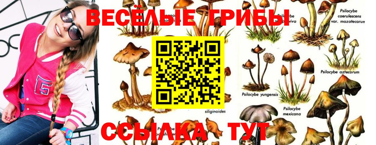 Алушта  Галлюциногенные грибы мухоморы  Вход с VPN  Псилоцибиновые грибы Psilocybine cubensis 
