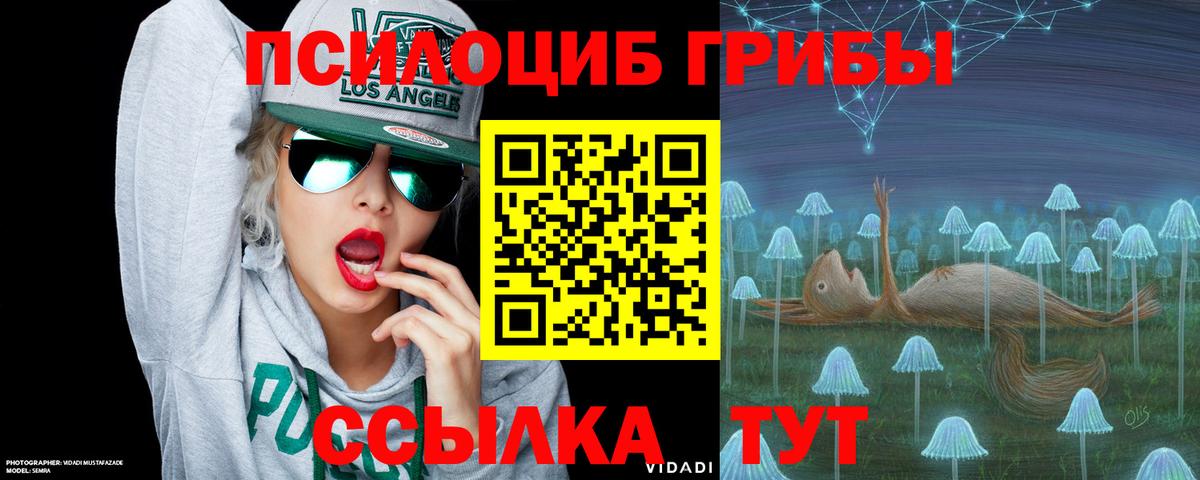 Псилоцибиновые грибы Cubensis Алушта